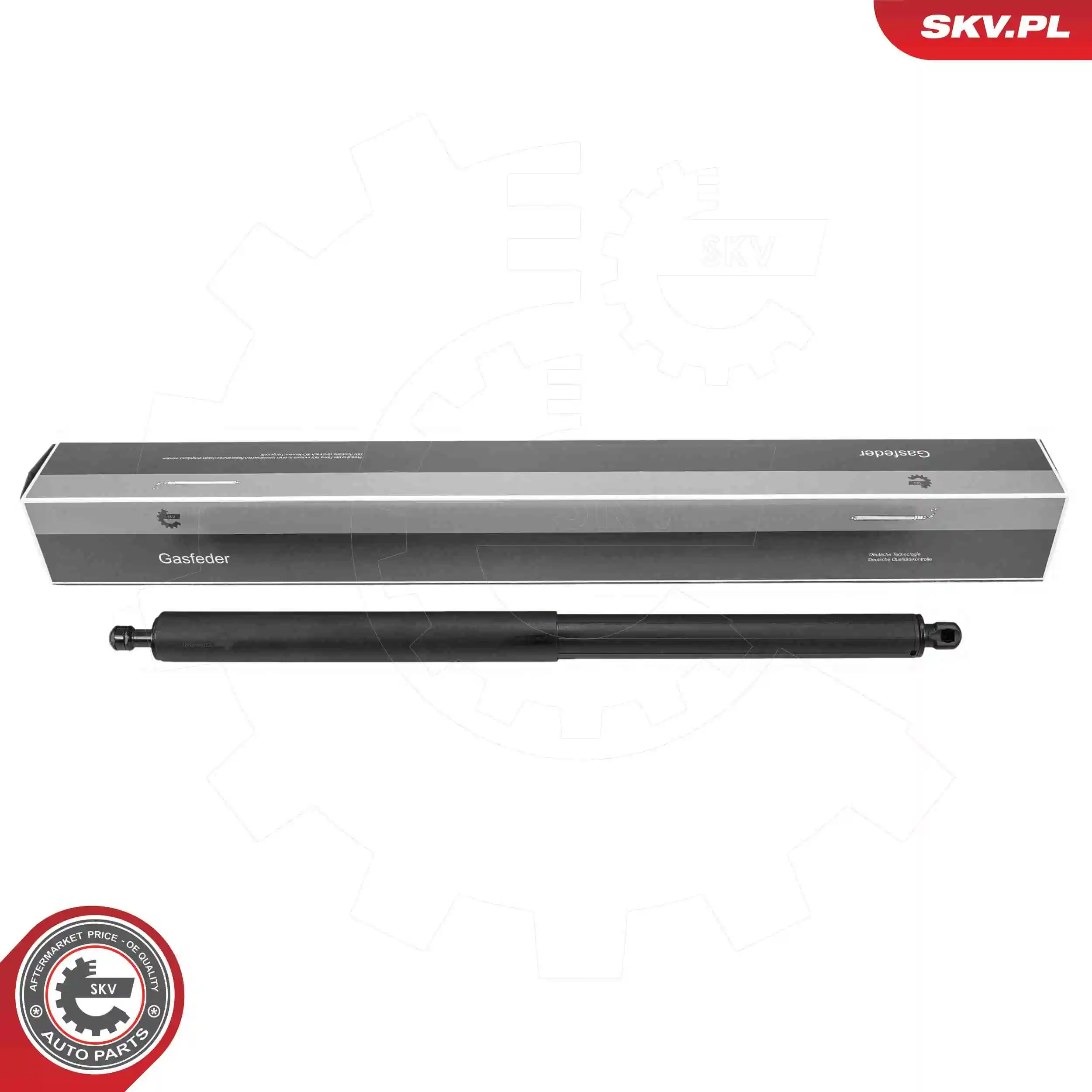 Gas Spring, boot/cargo area
